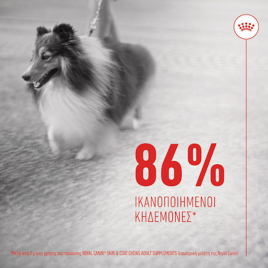 Royal Canin Skin & Coat Chews Oil Dietary Supplement for Dogs for Skin & Hair