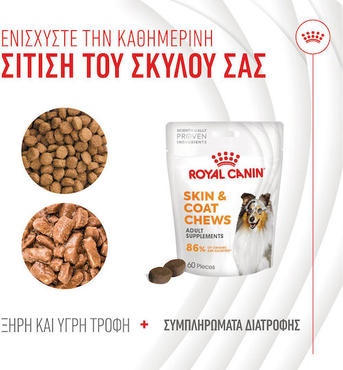 Royal Canin Skin & Coat Chews Oil Dietary Supplement for Dogs for Skin & Hair