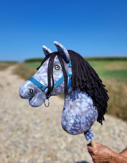 Super Hobby Horse Игра за имитация