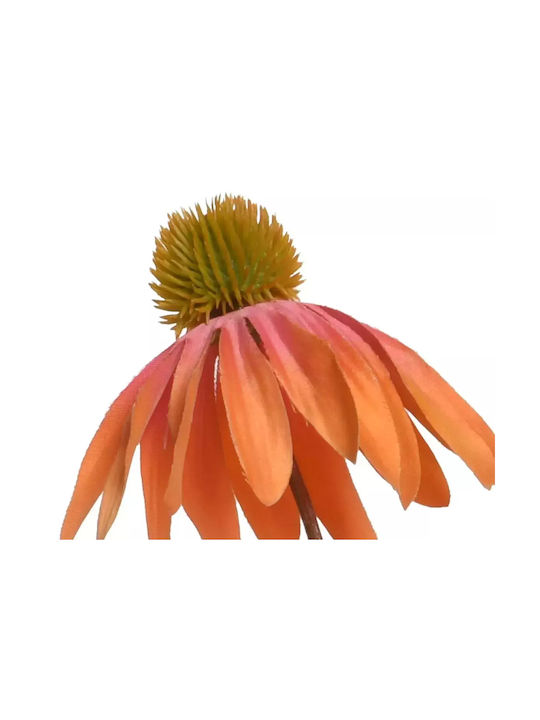Margarita Orange Fuchsia Beauty Home