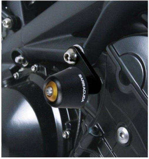 Barracuda TS6101