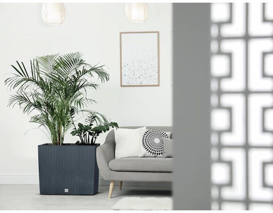 Set 2 Ghivece Plastice Antracit Set 2 Ghivece Plastice Antracit
