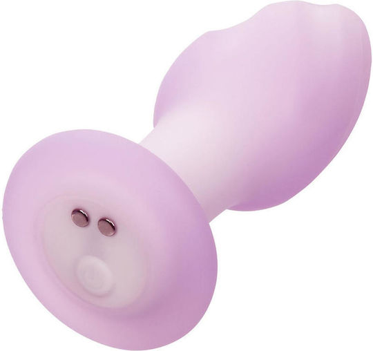 Dop Anal cu vibrație Violet