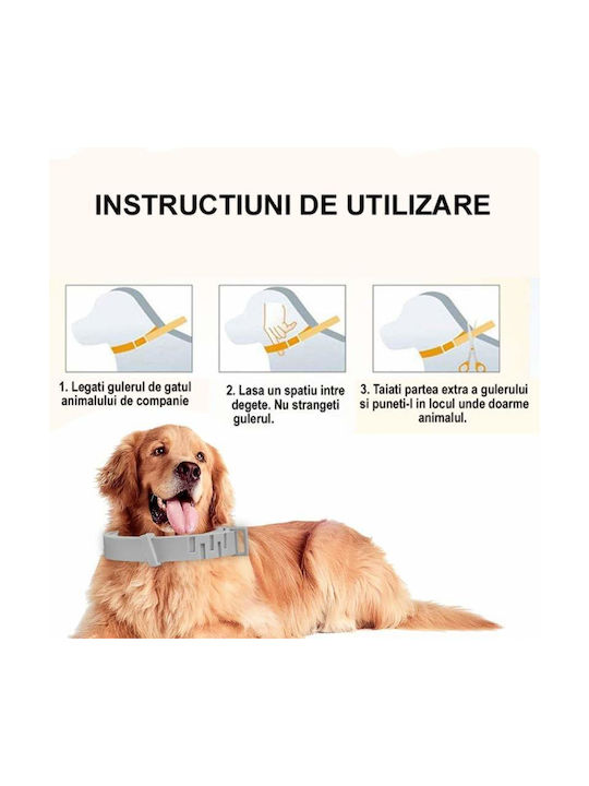 Zgarda Antiparazitară Câini Pisici Pe Bază De Uleiuri Vegetale Protecție Anti-purici Căpușe Până La 8 Luni Fără Alergeni 62x1.5 Cm Silicon Gri