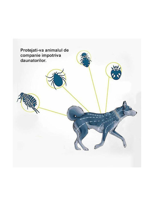Zgarda Antiparazitară Câini Pisici Pe Bază De Uleiuri Vegetale Protecție Anti-purici Căpușe Până La 8 Luni Fără Alergeni 62x1.5 Cm Silicon Gri