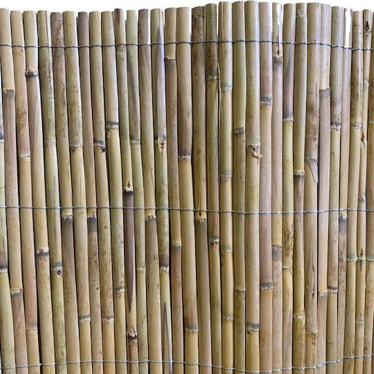 Dom Wood Bambuszaun mit Halbes Schilf 1x5m