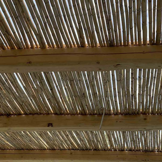 Showood Καλαμωτή με Ολόκληρο Καλάμι 1.5x3m