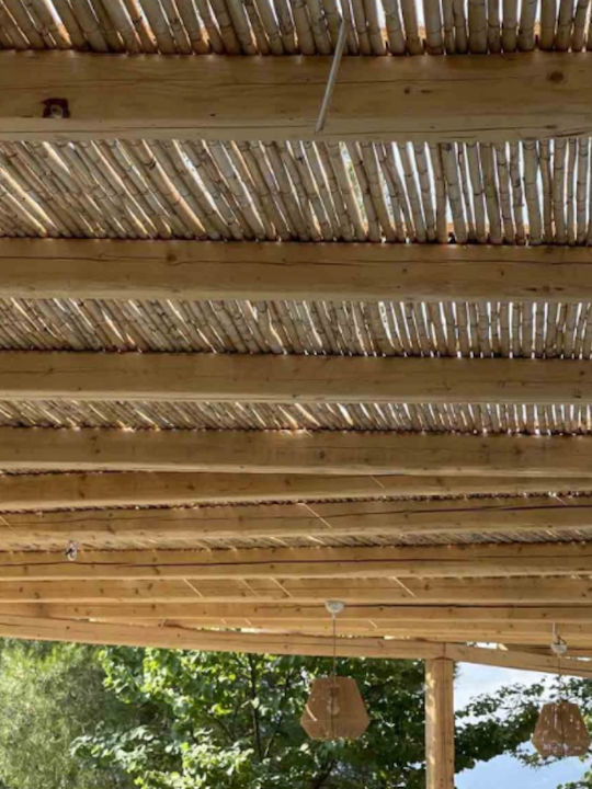 Showood Bambuszaun mit Ganzes Schilf 2x3m
