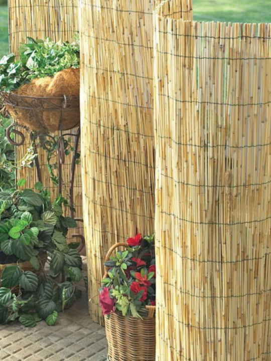 Showood Καλαμωτή με Ολόκληρο Καλάμι 1x3m