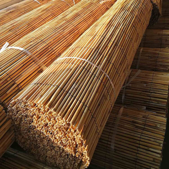 Showood Premium Gard de Bambus cu Întregul Reed 2x5m