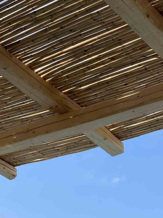 Showood Bambuszaun mit Ganzes Schilf 2.5x3m