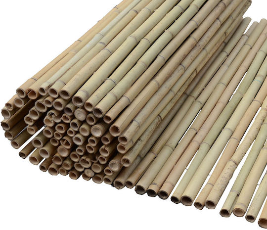 Showood Bamboo Fencing With Whole Reed Bamboo 2.5x3m