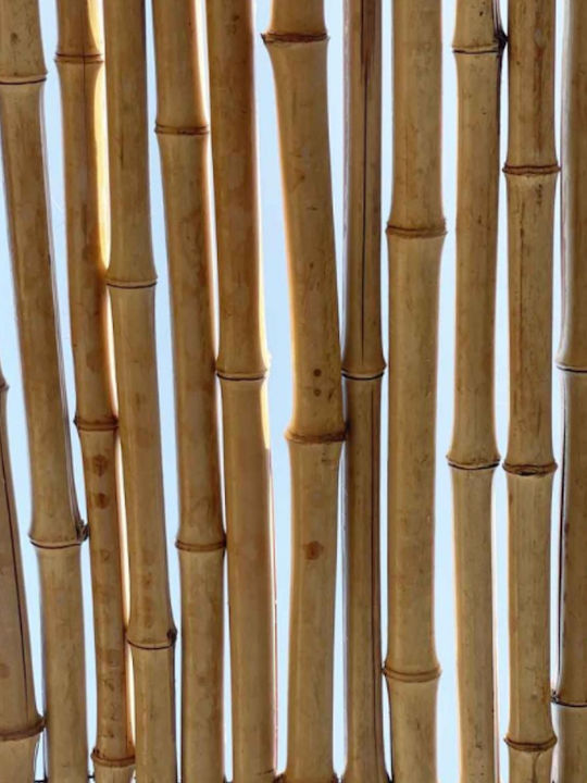 Dom Wood Bambuszaun mit Ganzes Schilf Bambus 2x2.5m