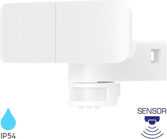 Braytron Στεγανός Προβολέας LED 30W Φυσικό Λευκό 4000K IP54