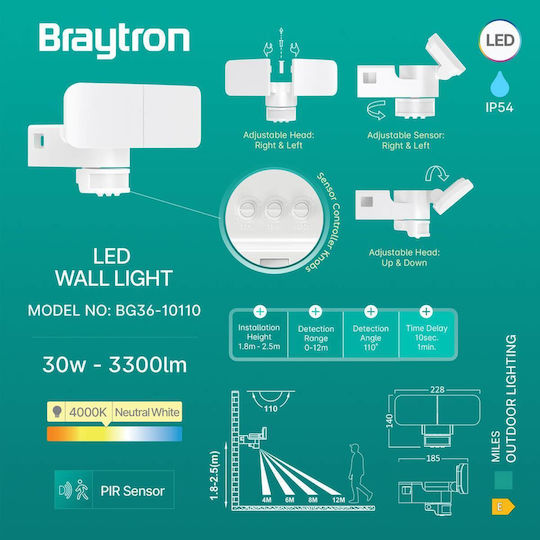Braytron Στεγανός Προβολέας LED 30W Φυσικό Λευκό 4000K IP54