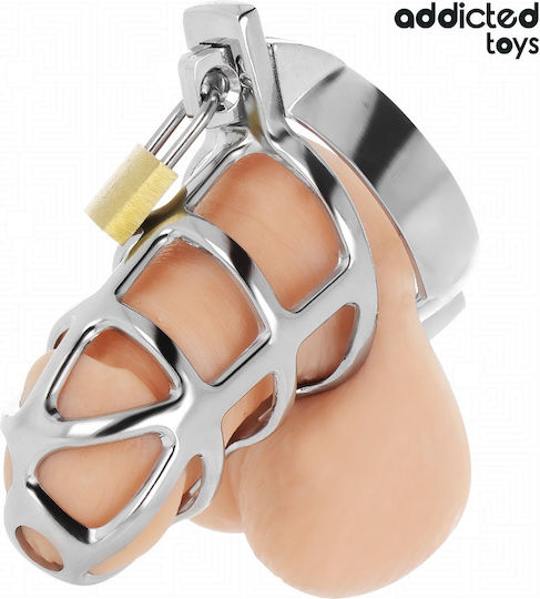 Addicted Toys Penis Cage in Silver Color
