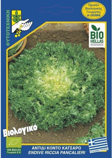 Geniki Fytotechniki Athinon Semințe Endive (Cichorium) Scurt Creț Verde Cultivare ecologică 10gr