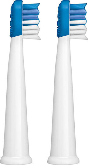 Sencor Sencor Electric Toothbrush Replacement Heads Sox 2 Pieces Blue