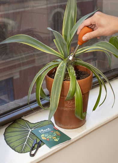 Plant Care Tin