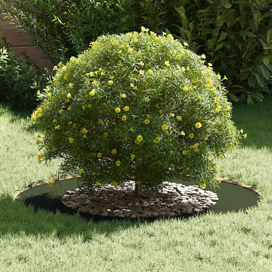 vidaXL Decorative Garden Plastic 80cmx80cm 5pcs 873697