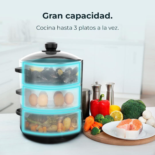 Cecotec Vapovita Steelpot Ατμομάγειρας με 3 Επίπεδα Μαγειρέματος 10lt