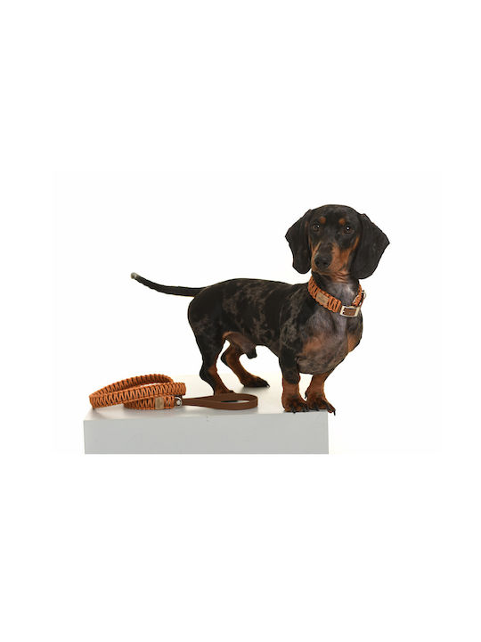 Unicord Hundehalsband Wolkenkratzer Bronze XL 51-57cm 40mm