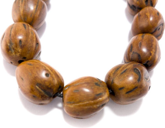 Scented Nutmeg Worry Beads Seeds Beige