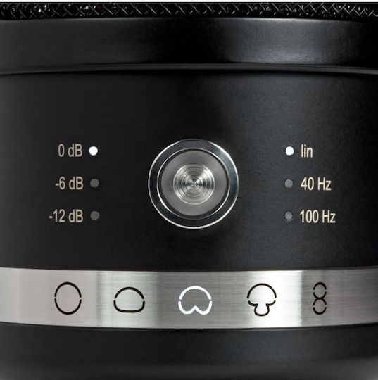 Neumann TLM 107 Studio Set Set Kondensatormikrofon XLR Stoßmontiert für Gesang