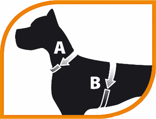 Ferplast Dog Leash/Lead Strap in Gray color