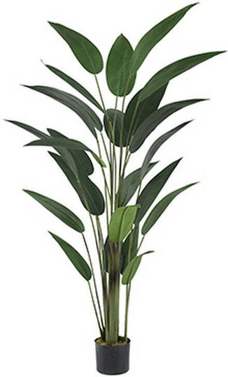 Musa Potted Plant Artekko