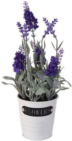 Lavender in a Pot (Various Colors) Lavender in a Pot (Various Colors)