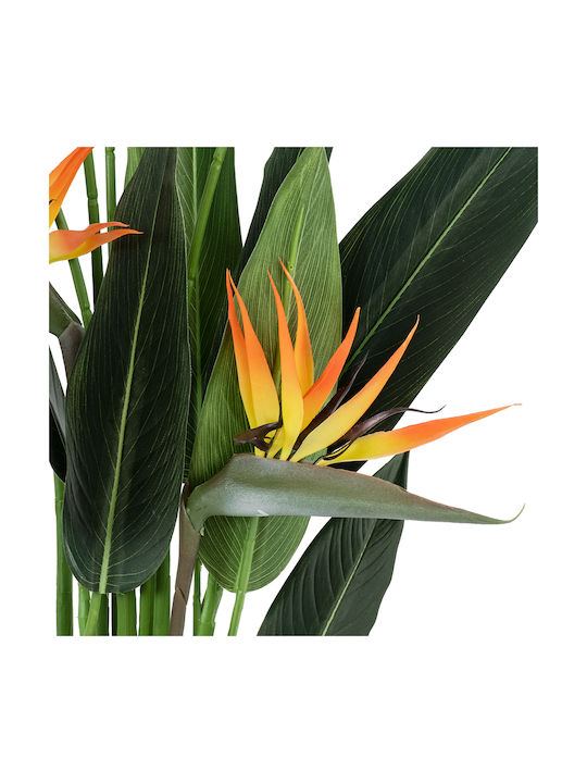 Paradiesvogel in Topfpflanze 140cm 4 Stück GloboStar