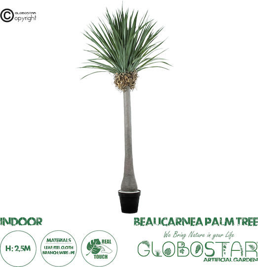 Φοίνικας Εξωτερικού Χώρου 250cm GloboStar