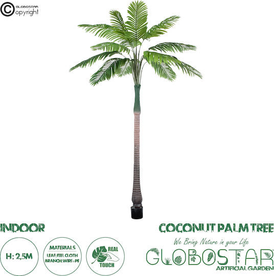 Outdoor Palm Tree 250cm GloboStar