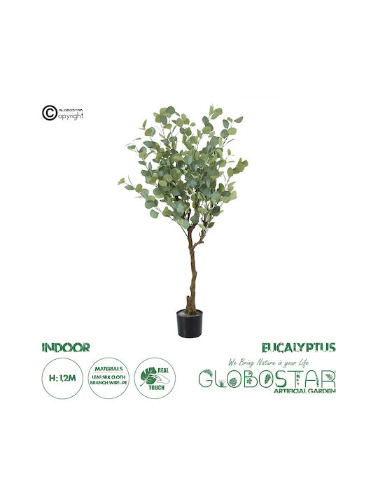 Eucaliptus În Ghiveci 120cm GloboStar