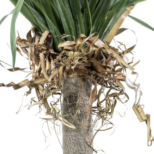 Palm Tree in Potted Plant 165cm GloboStar