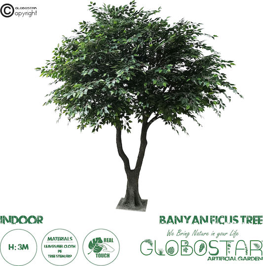Ficus Lyrata Дърво На Открито 350см GloboStar