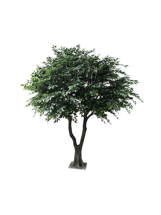 Ficus Baum im Freien 350cm GloboStar