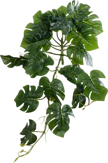 Dekorative künstliche Pflanze Monstera Grün 50cm in Box GloboStar