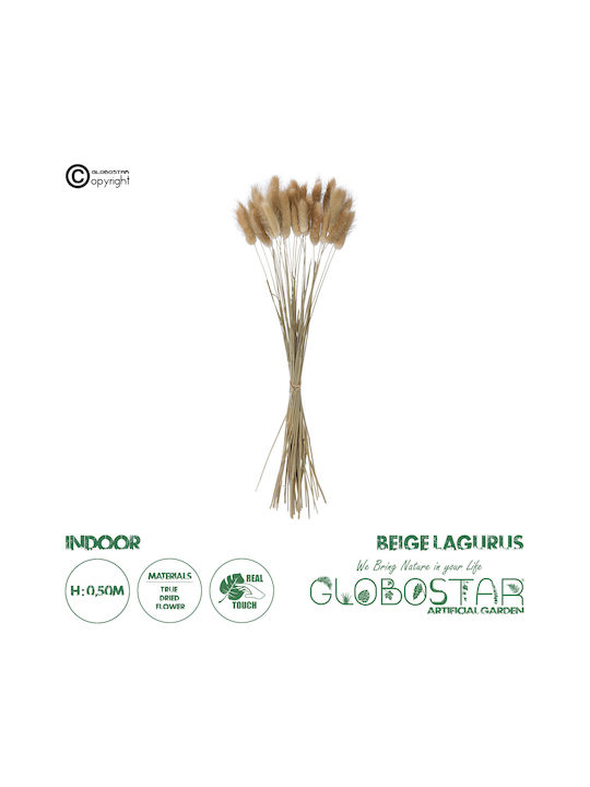Dried Plant Beige 50cm GloboStar
