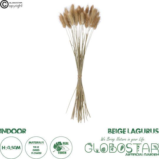 Plantă Uscată Beige 50cm GloboStar