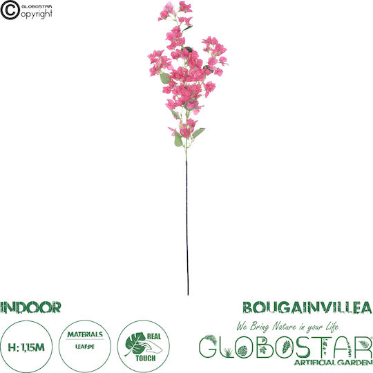 Βουκαμβίλια Φούξια 115cm σε Κουτί GloboStar