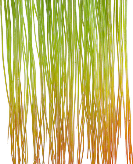 Dekorative künstliche Pflanze Gras Grün 81cm in Box GloboStar