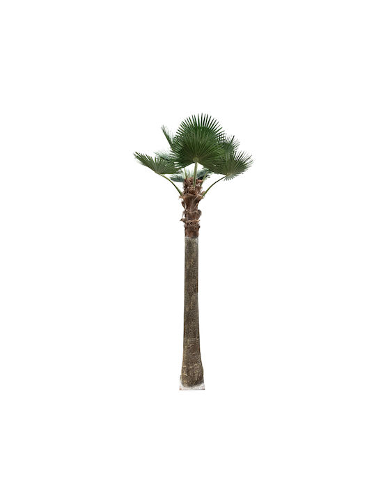 Planta artificială de grădină Globostar Palmier 21056 Palmier decorativ H240 x H500cm