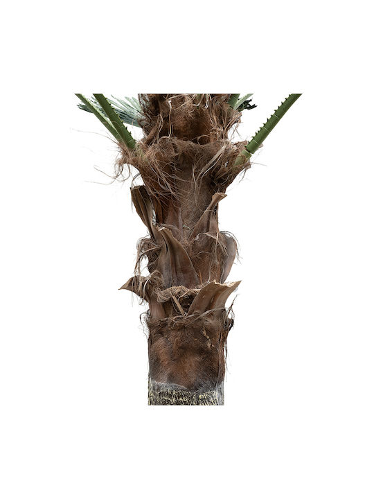 Planta artificială de grădină Globostar Palmier 21056 Palmier decorativ H240 x H500cm
