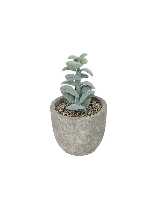 Globostar Artificial Garden Succulent Sedeveria Potted Plant 21027 Διακοσμητικό Φυτό Σεδεβέρια Φ5 X Υ11cm