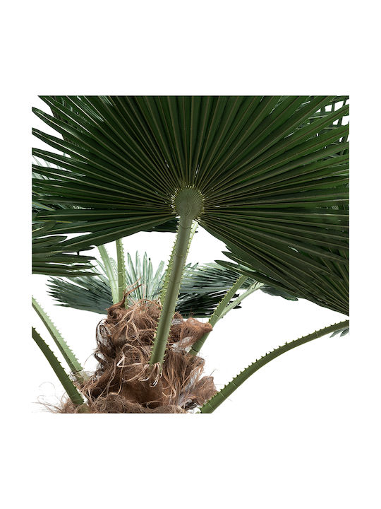 Arbore de palmier decorativ Globostar Artificial Garden Plant Palm Tree 21055 Φ240 X H400cm