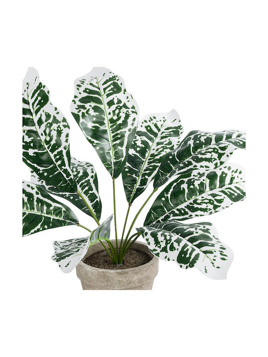 Globostar Artificial Garden White Aglaonema Potted Plant 20903 Decorative Plant White Aglaonema Φ40 X H33cm