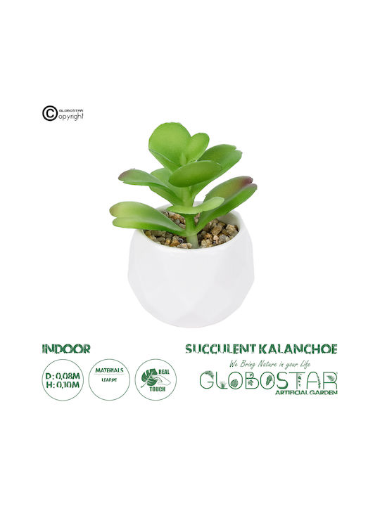 Artificial Plant in Small Pot Kalanchoe Green 10cm GloboStar