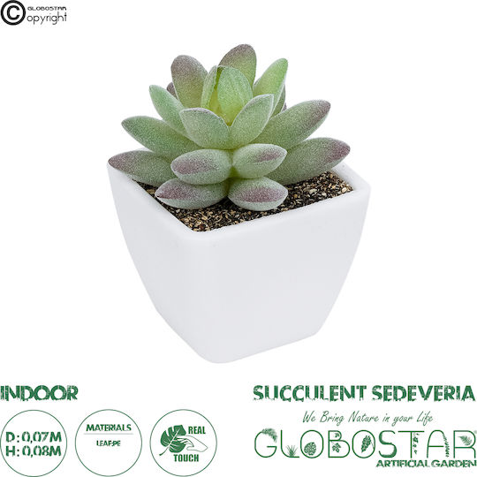 Globostar Artificial Garden Succulent Sedeveria Potted Plant 20975 Decorative Plant Phoenix Serenoa H7 X H8cm
